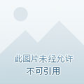 前妻拔我氧气管后,我觉醒透视眼全文阅读