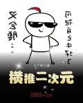 横推二次元全文阅读