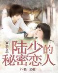 独宠旧爱·陆少的秘密恋人全文阅读